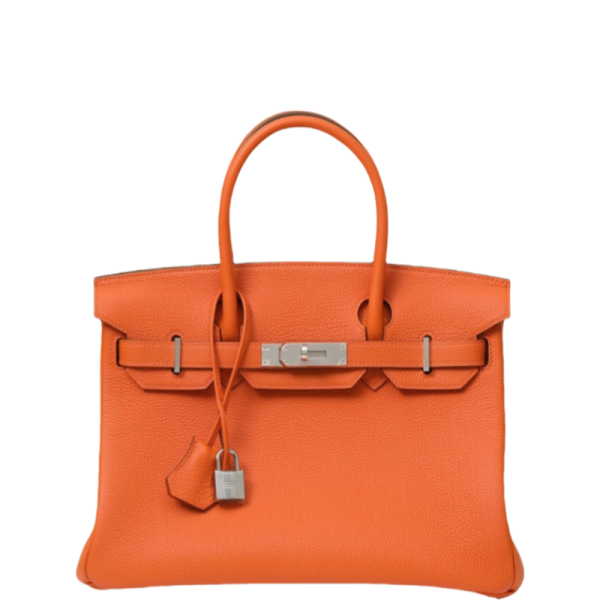 Birkin 30