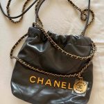 22 Mini Handbag photo review