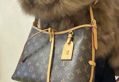 CarryAll PM photo review